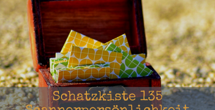 Schatzkiste135 - Scannerpersönlichkeit